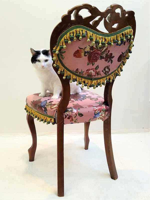 antieke stoel met witte poes